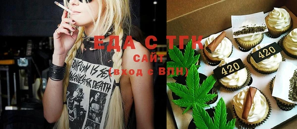 гидра Туринск