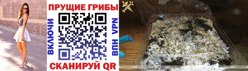 Купить закладки  Фурманов  Галлюциногенные грибы MAGIC MUSHROOMS 